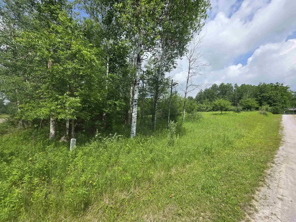 00 Sage Lake Road Hill Township MI 48635