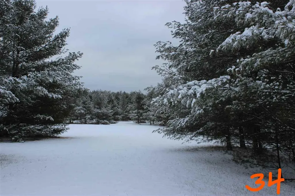 2161 Fox Run Road West Branch Township MI 48661