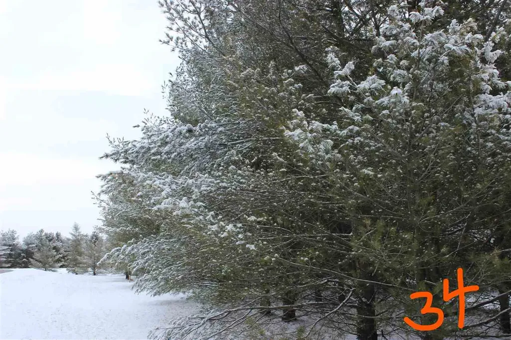 2161 Fox Run Road West Branch Township MI 48661