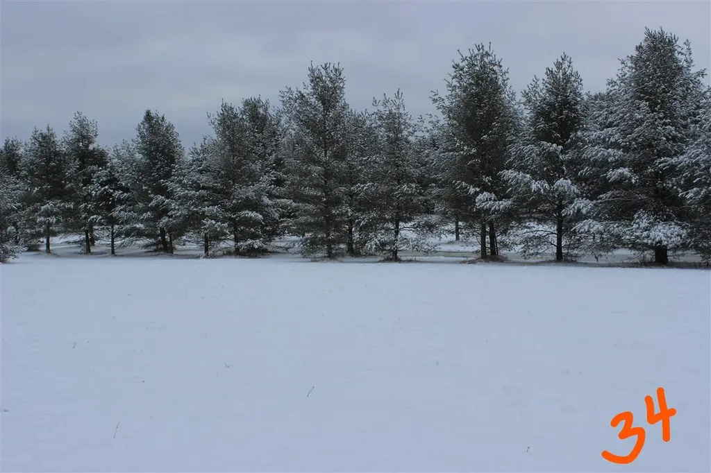 2161 Fox Run Road West Branch Township MI 48661