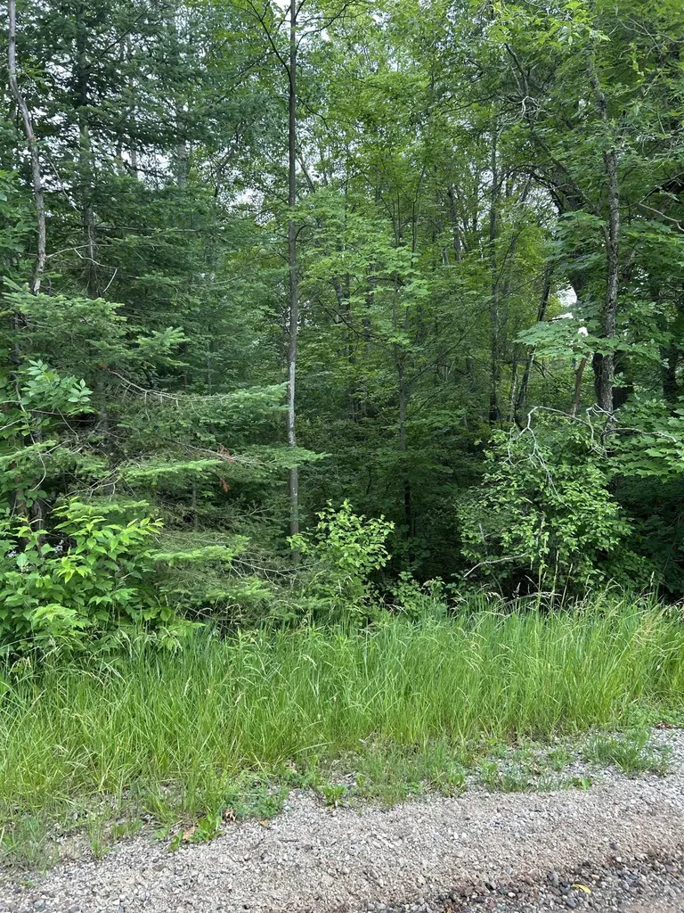 VL_819 Choctaw Trail Churchill Township MI 48661
