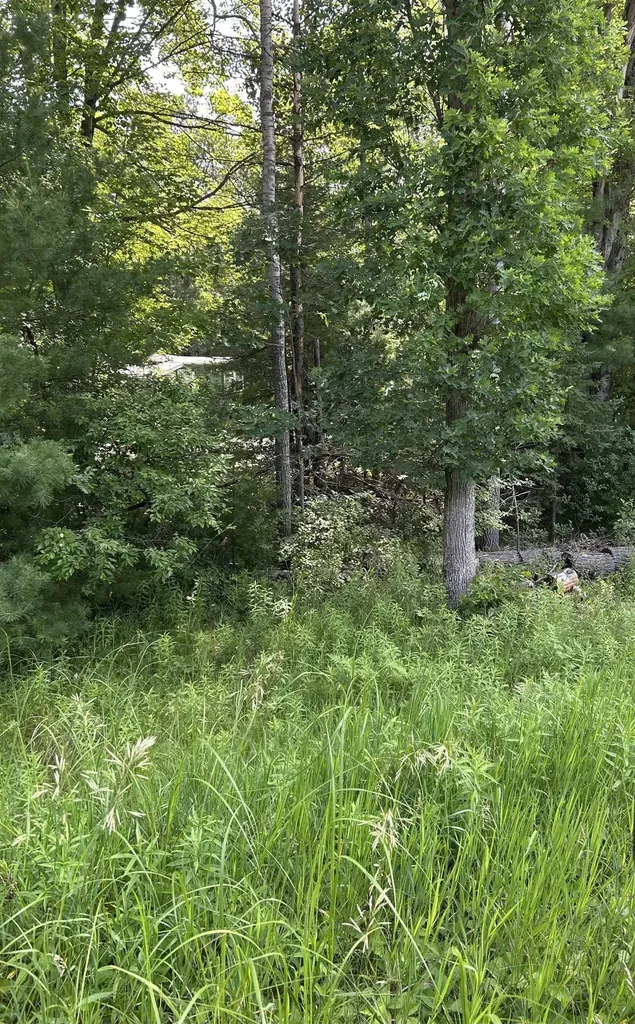 VL_819 Choctaw Trail Churchill Township MI 48661