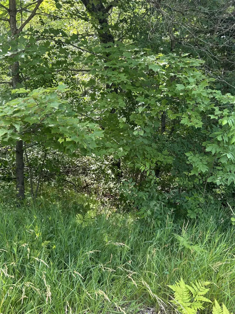 VL_819 Choctaw Trail Churchill Township MI 48661