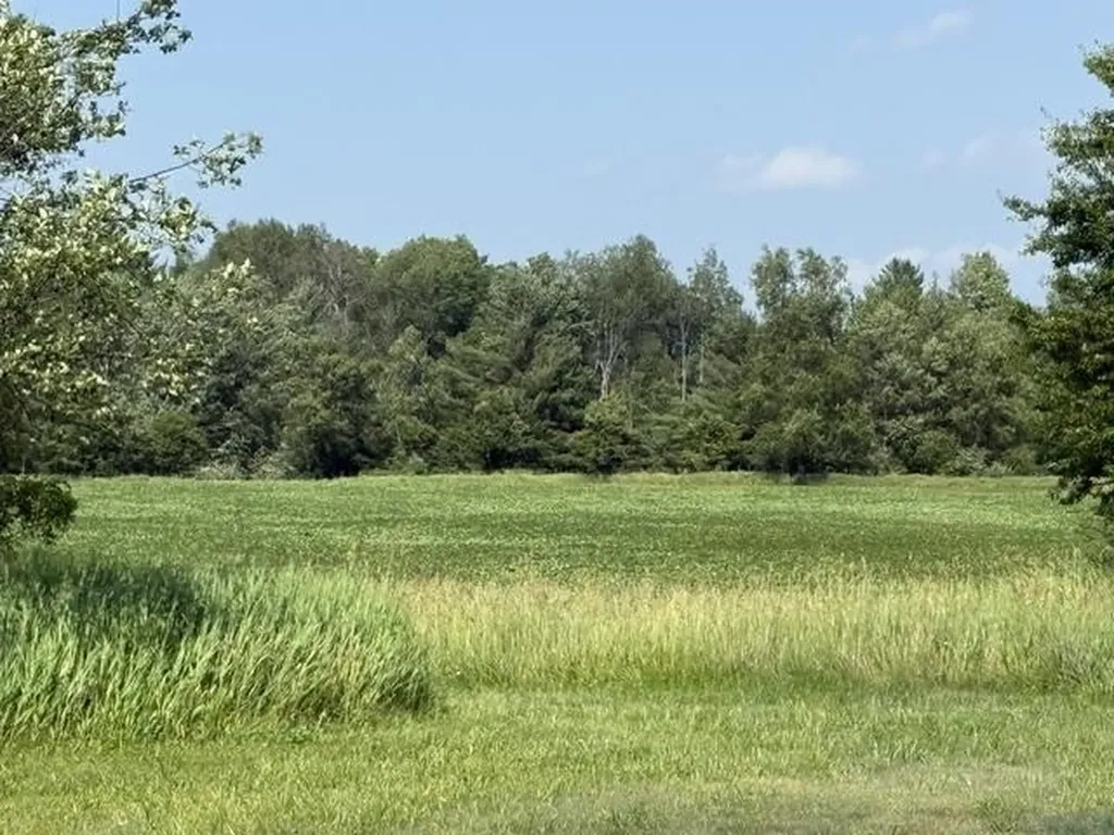 5251 M-55 Logan Township MI 48739