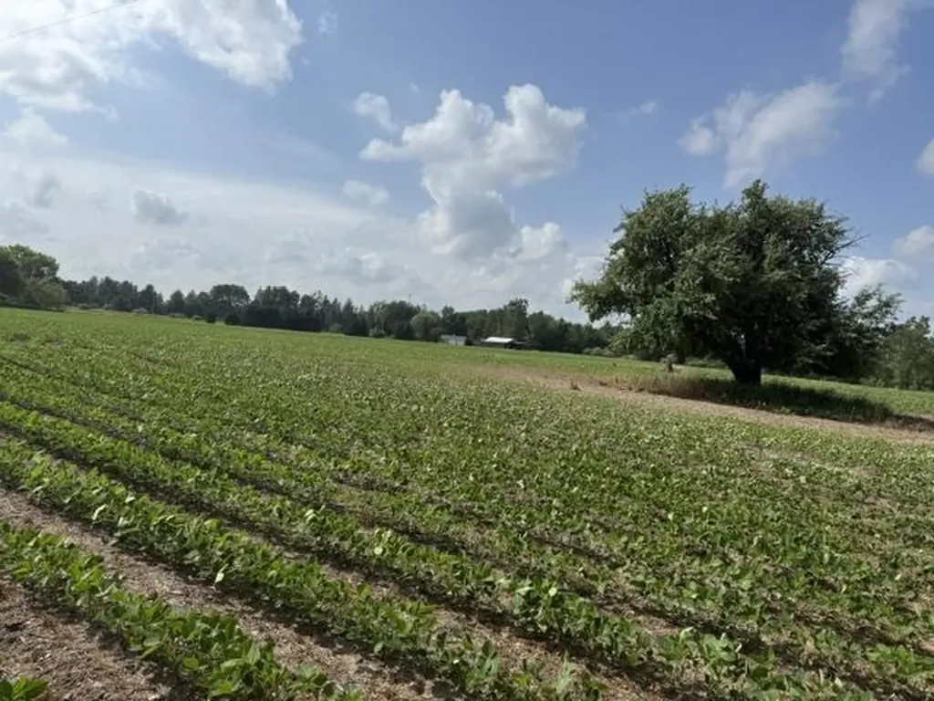 5251 M-55 Logan Township MI 48739