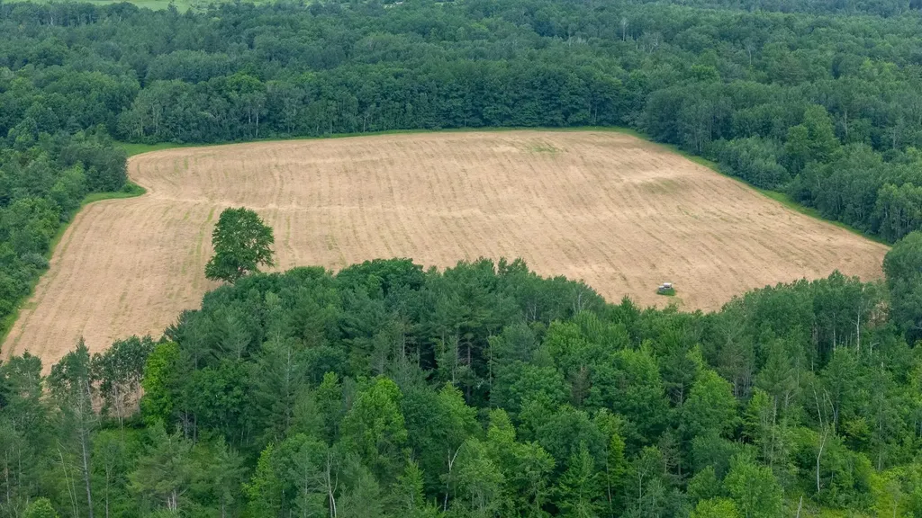 5251 M-55 Logan Township MI 48739