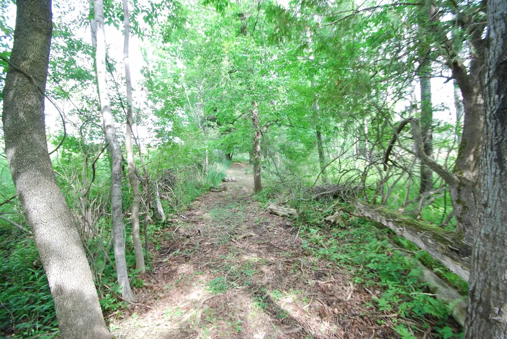 1265 S Dow Road West Branch Township MI 48661