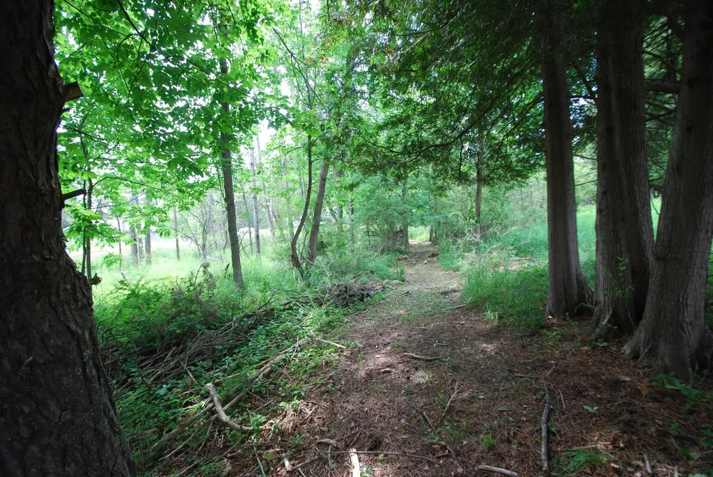 1265 S Dow Road West Branch Township MI 48661