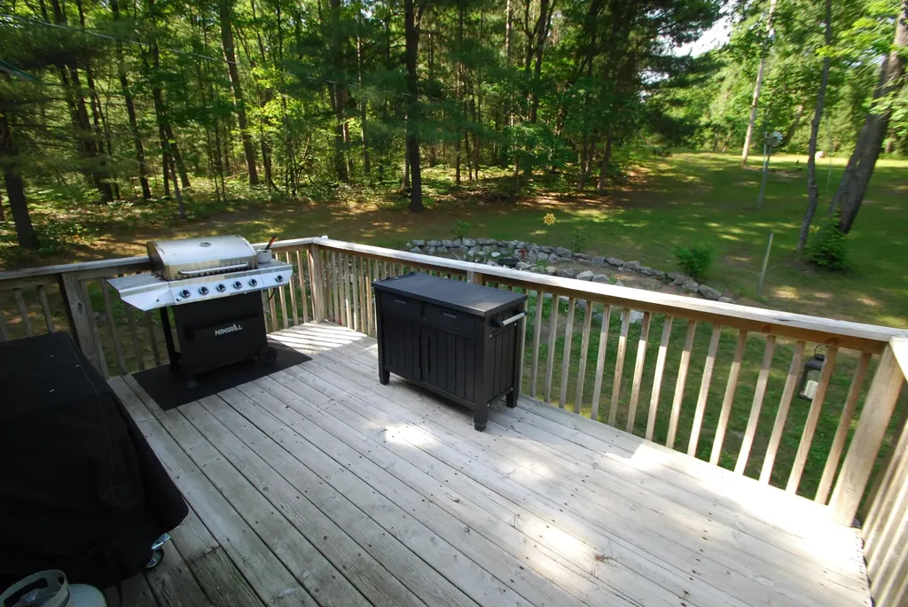3951 Ogemaw Road Foster Township MI 48661