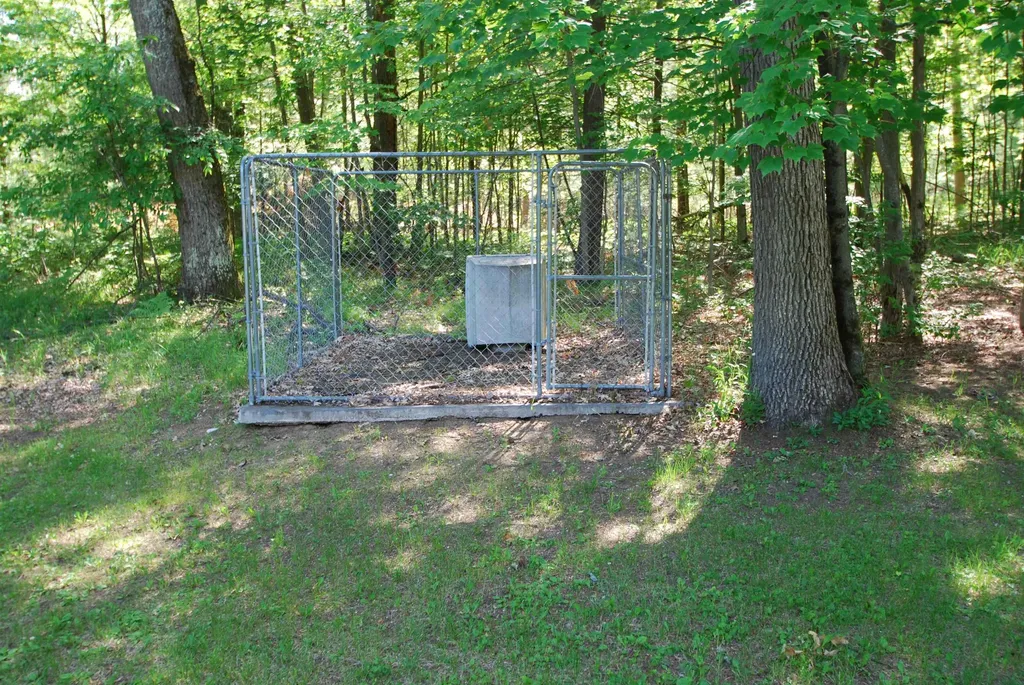 3951 Ogemaw Road Foster Township MI 48661