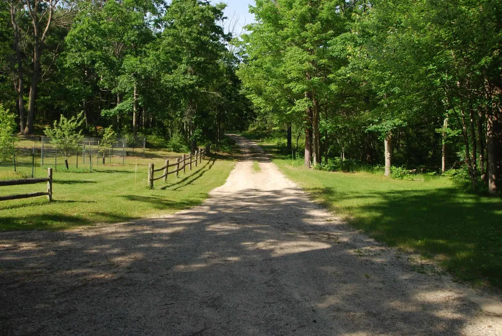 3951 Ogemaw Road Foster Township MI 48661