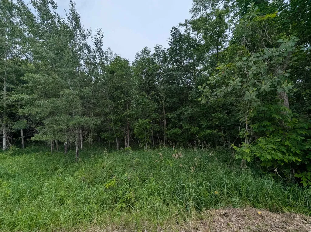 N/a Shenfield Road Turner Township MI 48765