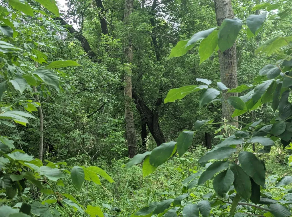 N/a Shenfield Road Turner Township MI 48765