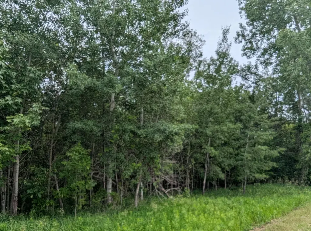 N/a Shenfield Road Turner Township MI 48765