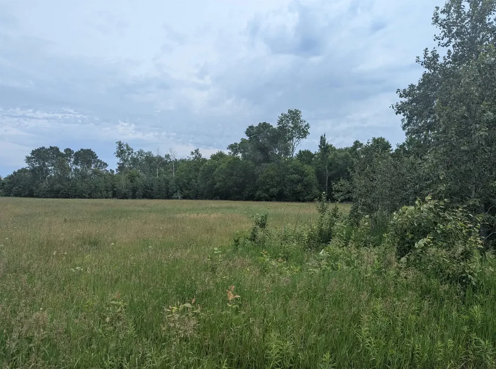 N/a Shenfield Road Turner Township MI 48765