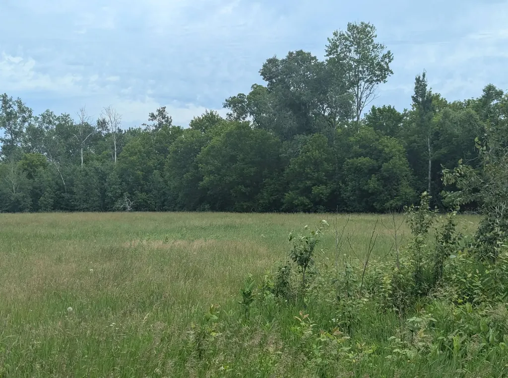 N/a Shenfield Road Turner Township MI 48765