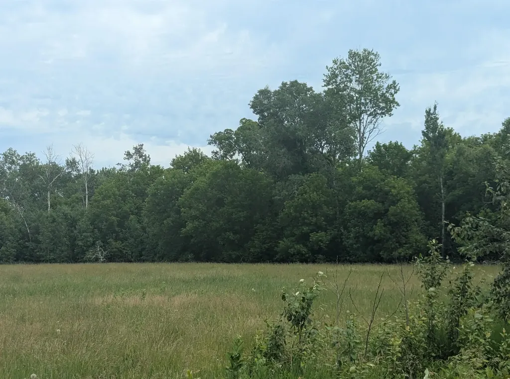 N/a Shenfield Road Turner Township MI 48765