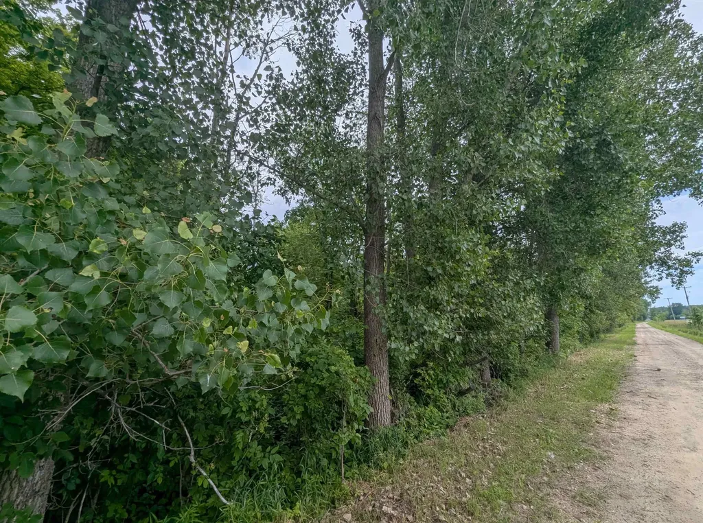 N/a Shenfield Road Turner Township MI 48765