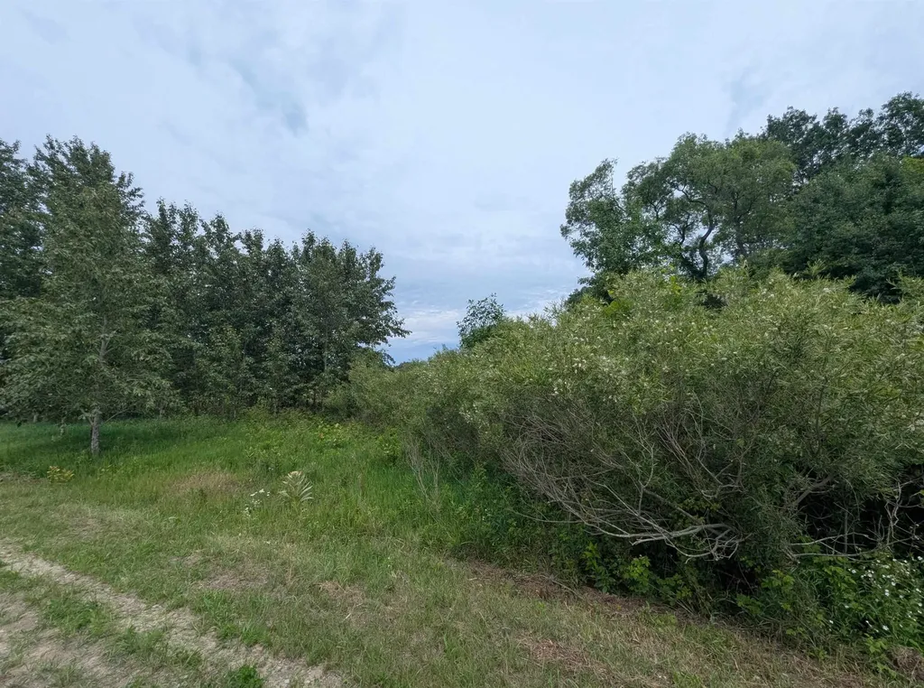 N/a Shenfield Road Turner Township MI 48765