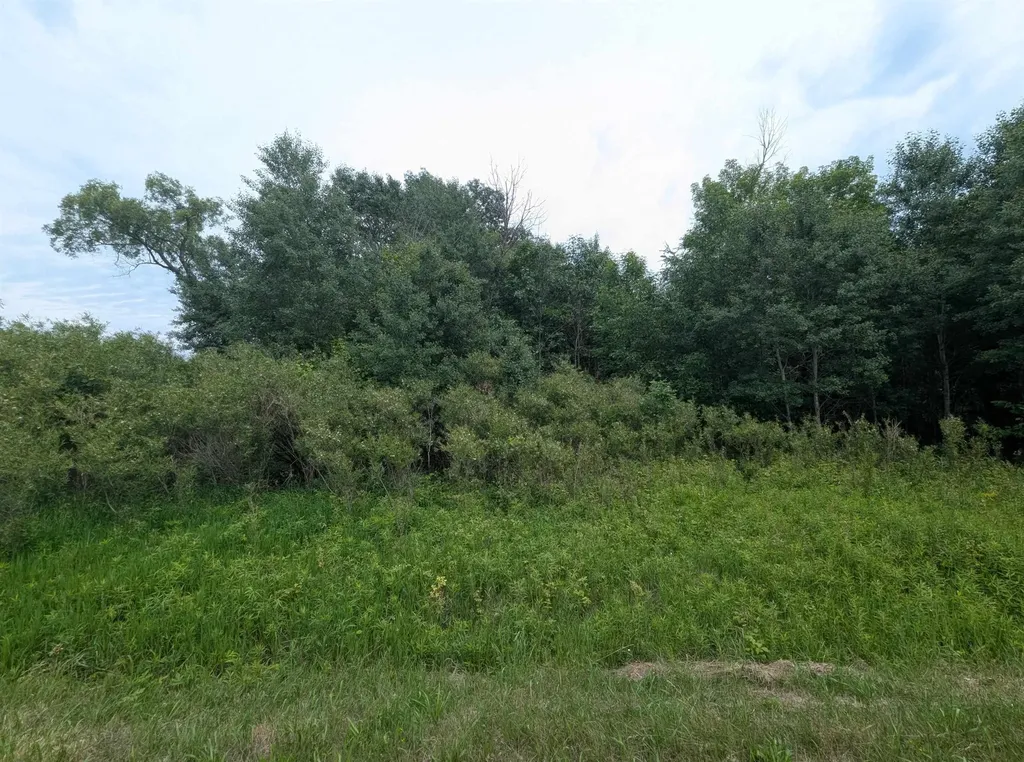 N/a Shenfield Road Turner Township MI 48765