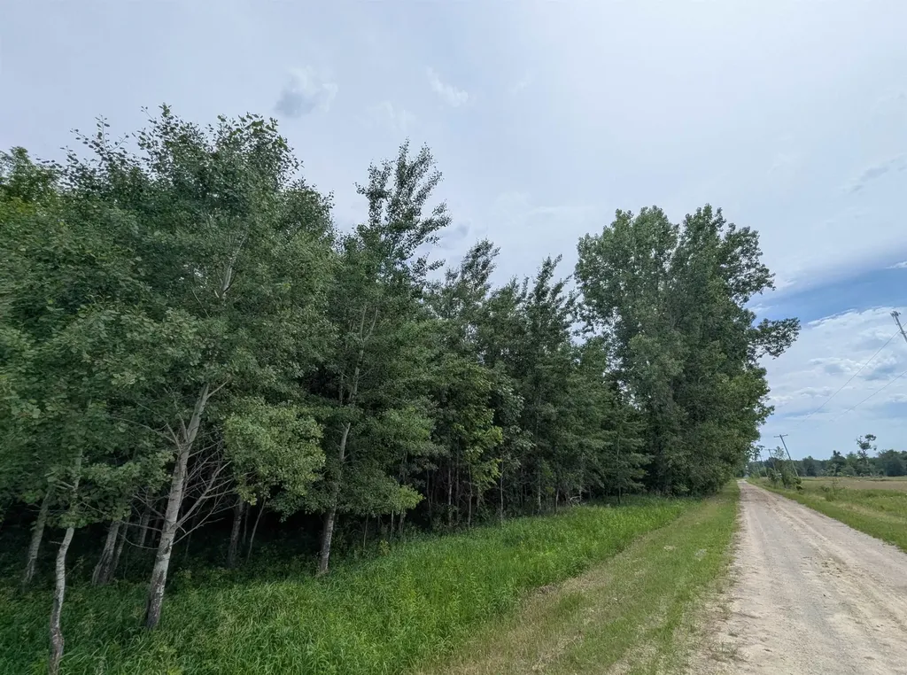 N/a Shenfield Road Turner Township MI 48765