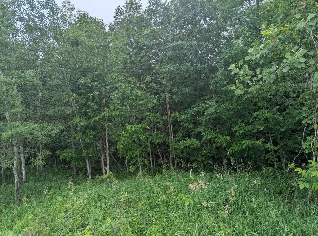 N/a Shenfield Road Turner Township MI 48765