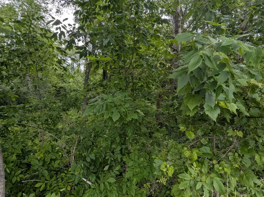 N/a Shenfield Road Turner Township MI 48765