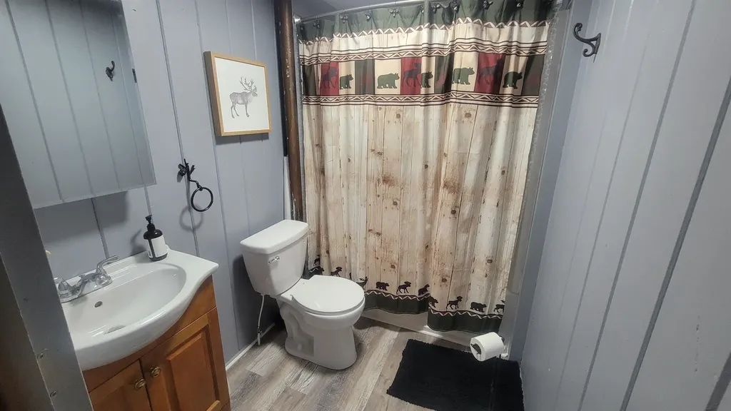 3619 Chippewa Drive Curtis Township MI 48737