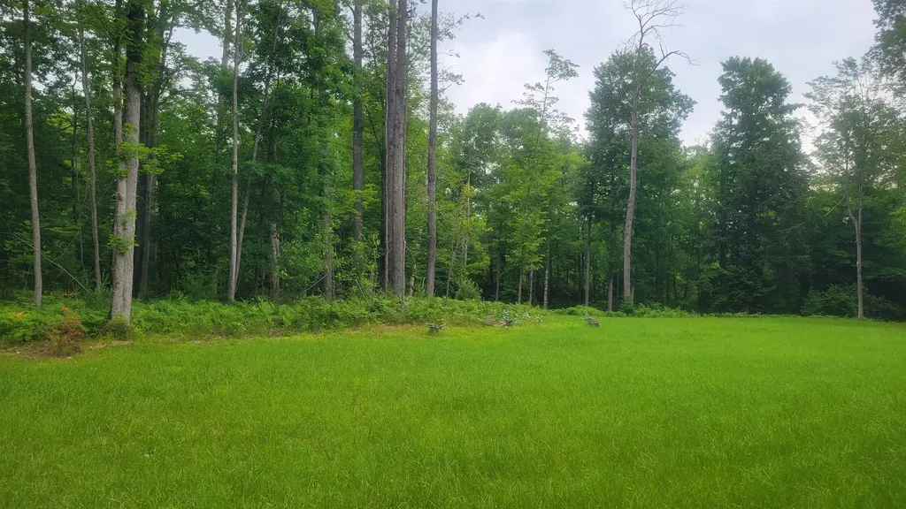 3619 Chippewa Drive Curtis Township MI 48737