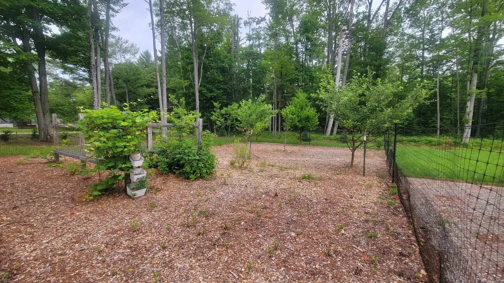 3619 Chippewa Drive Curtis Township MI 48737