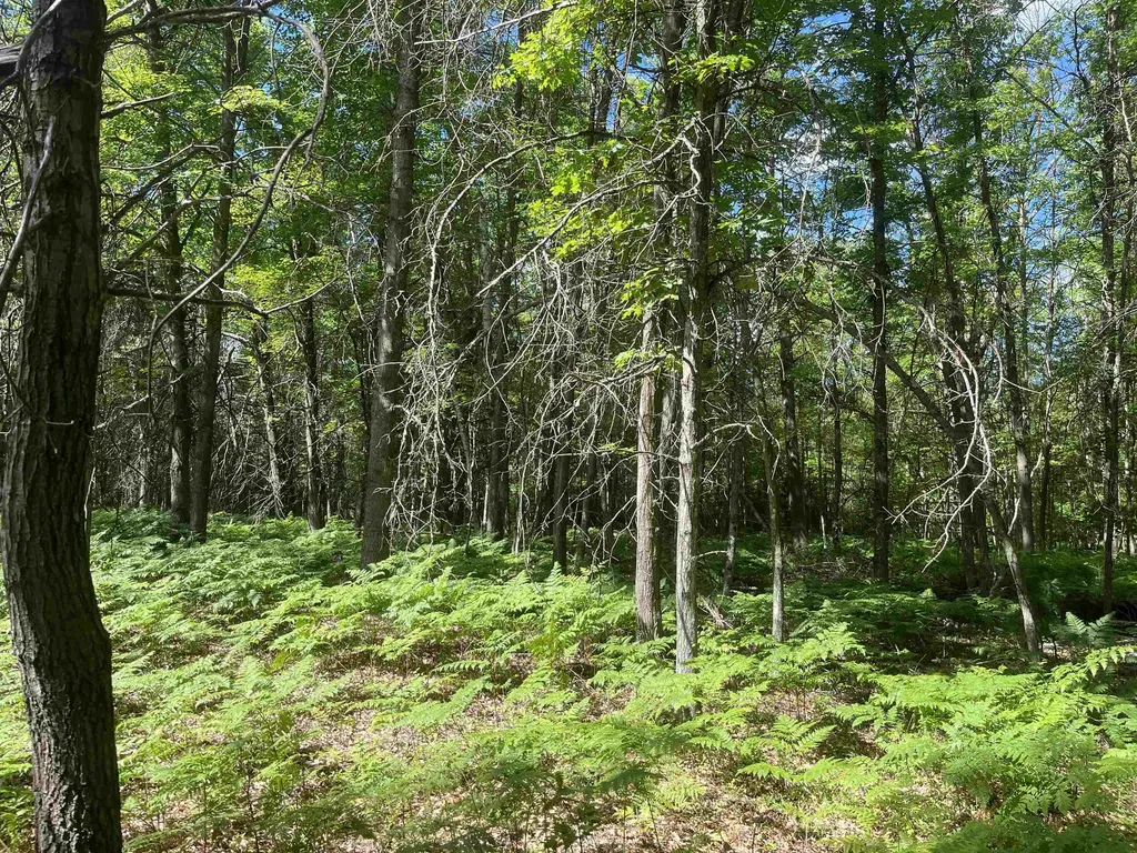 Nka Washington Road Arenac Township MI 48749
