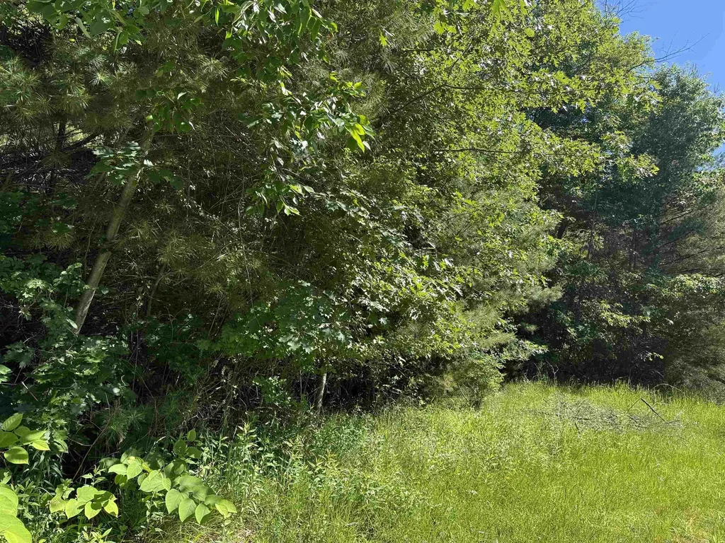 0 Emery Street Baldwin Township MI 48763