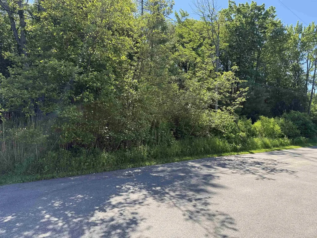 0 Emery Street Baldwin Township MI 48763