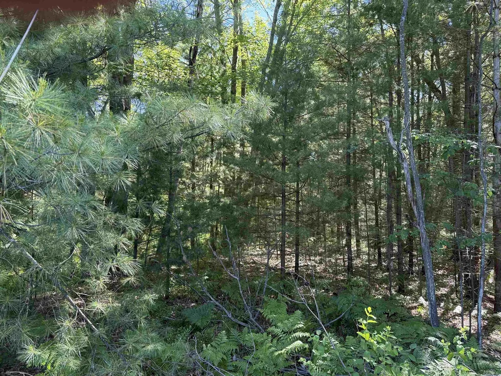 0 Emery Street Baldwin Township MI 48763