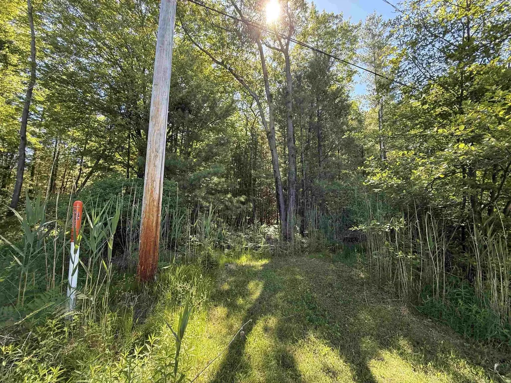 0 Emery Street Baldwin Township MI 48763