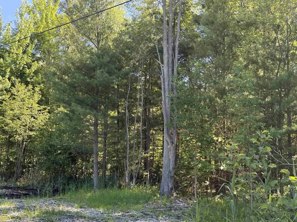 0 Emery Street Baldwin Township MI 48763
