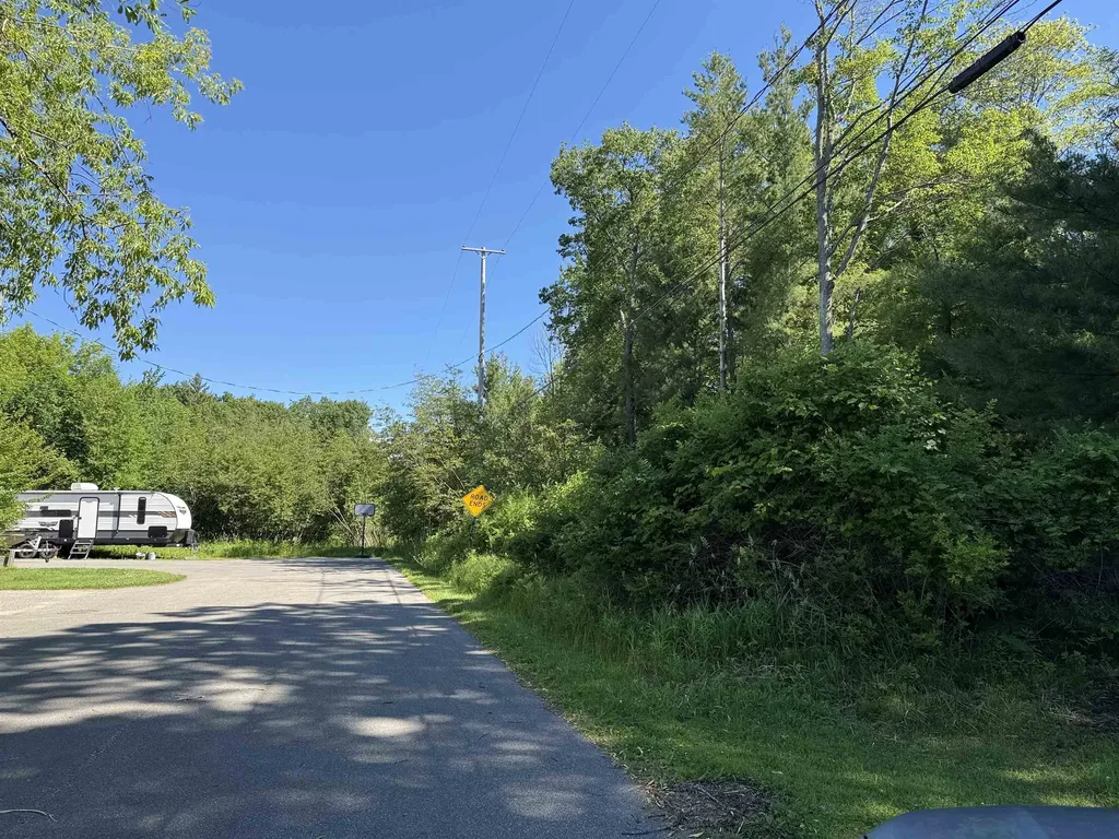0 Emery Street Baldwin Township MI 48763