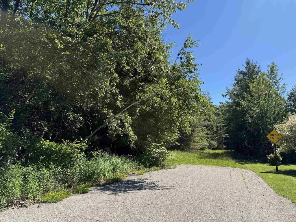 0 Emery Street Baldwin Township MI 48763