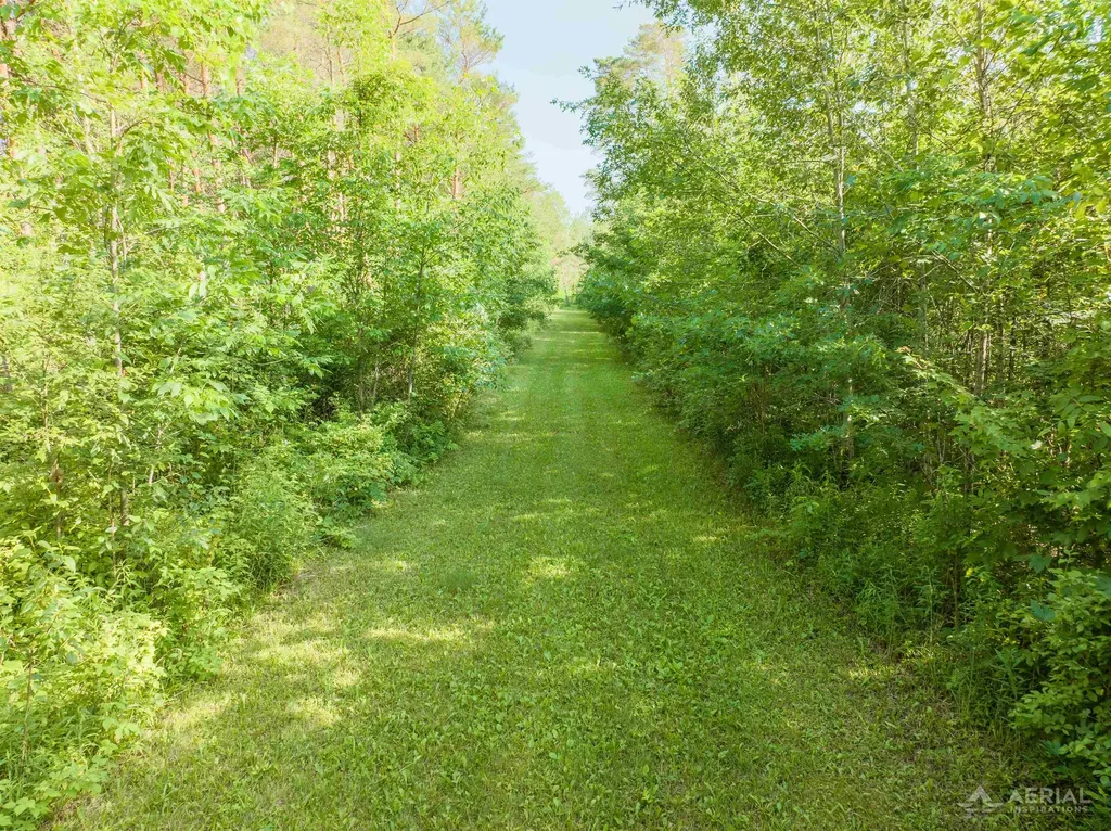 2882 School Road Bourret Township MI 48610