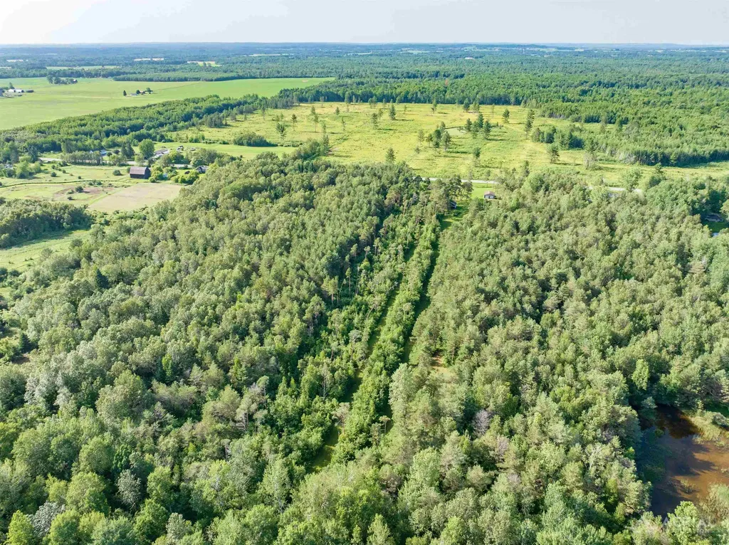2882 School Road Bourret Township MI 48610
