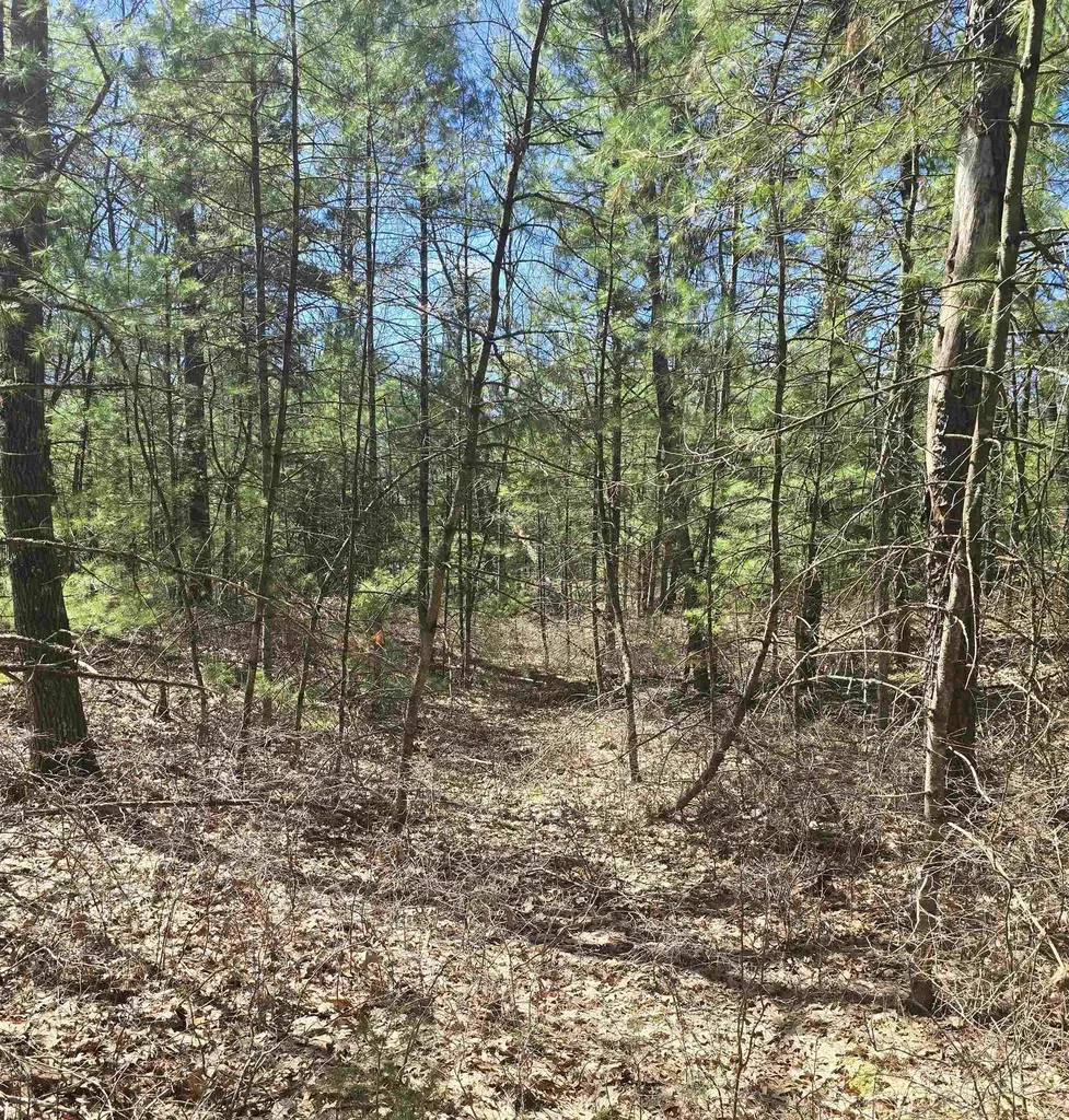 4699 Johnson Road Au Sable Charter Township MI 48750