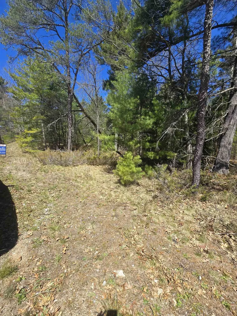 4699 Johnson Road Au Sable Charter Township MI 48750