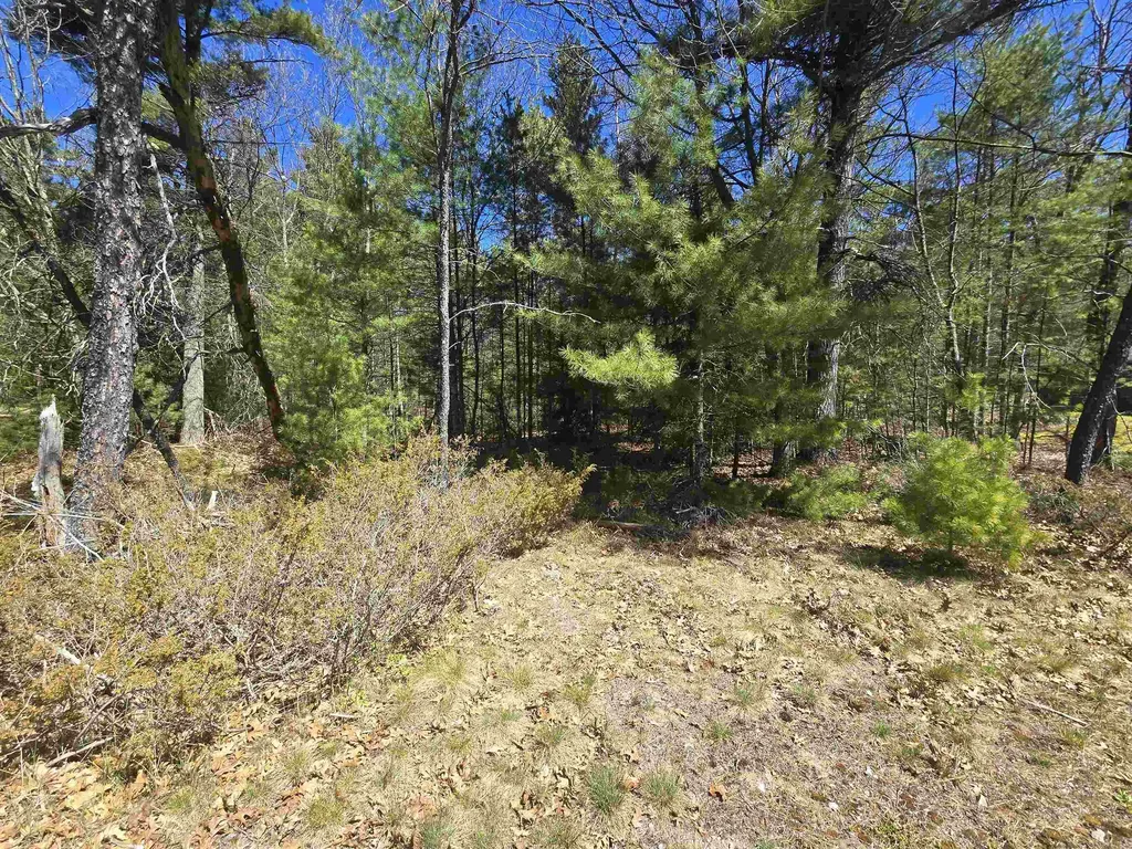 4699 Johnson Road Au Sable Charter Township MI 48750