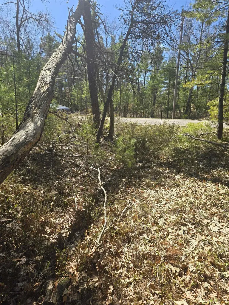 4699 Johnson Road Au Sable Charter Township MI 48750