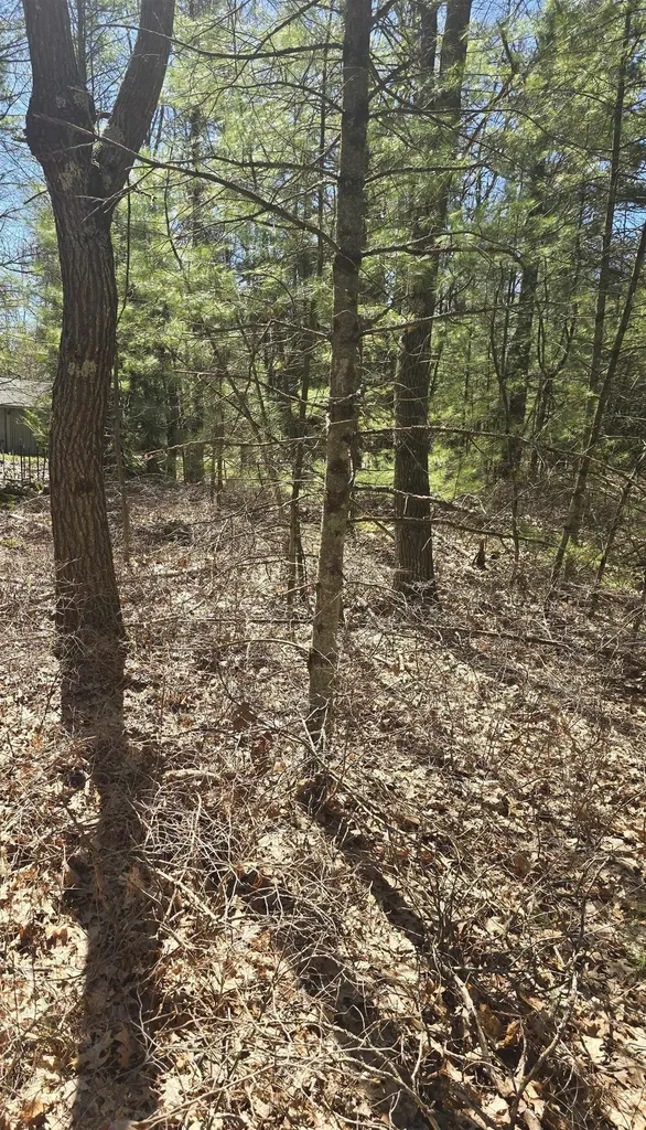 4699 Johnson Road Au Sable Charter Township MI 48750