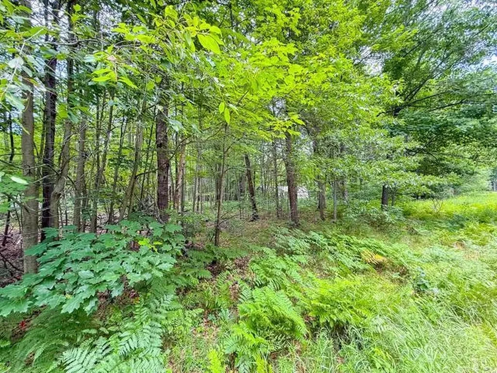 3120 Kens Place Markey Township MI 48653