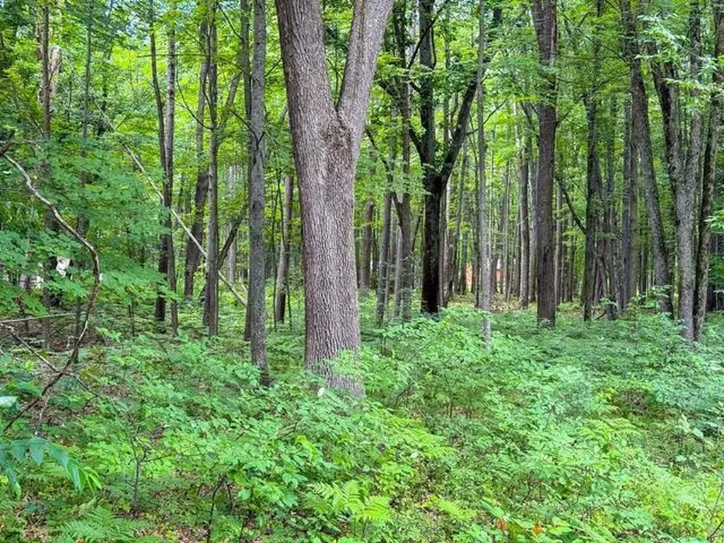 3120 Kens Place Markey Township MI 48653