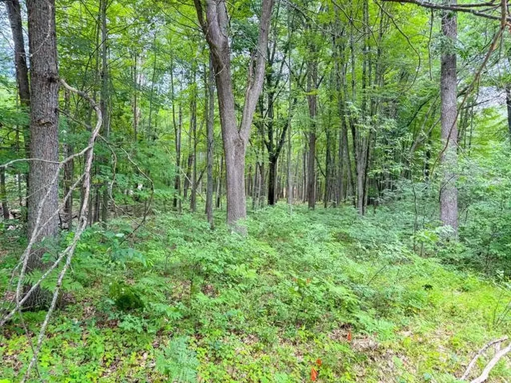 3120 Kens Place Markey Township MI 48653