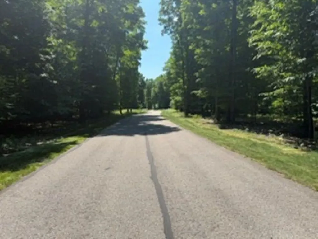 2418 Hawks Drive Kearney Township MI 49615