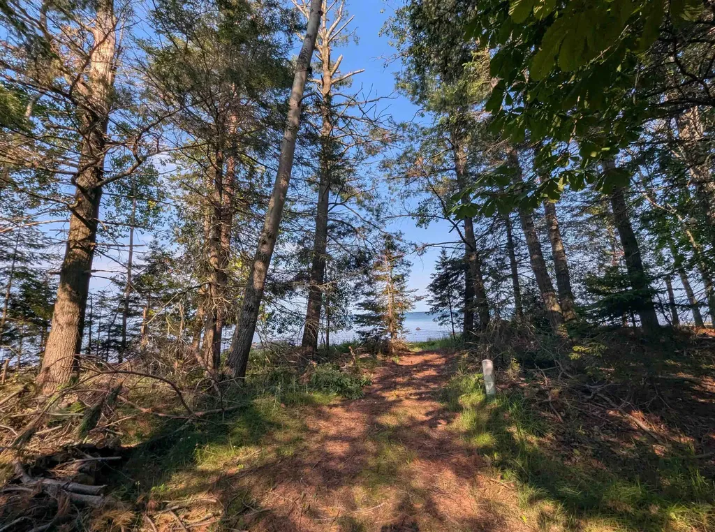 N/a N Lake Shore Drive Alcona Township MI 48721